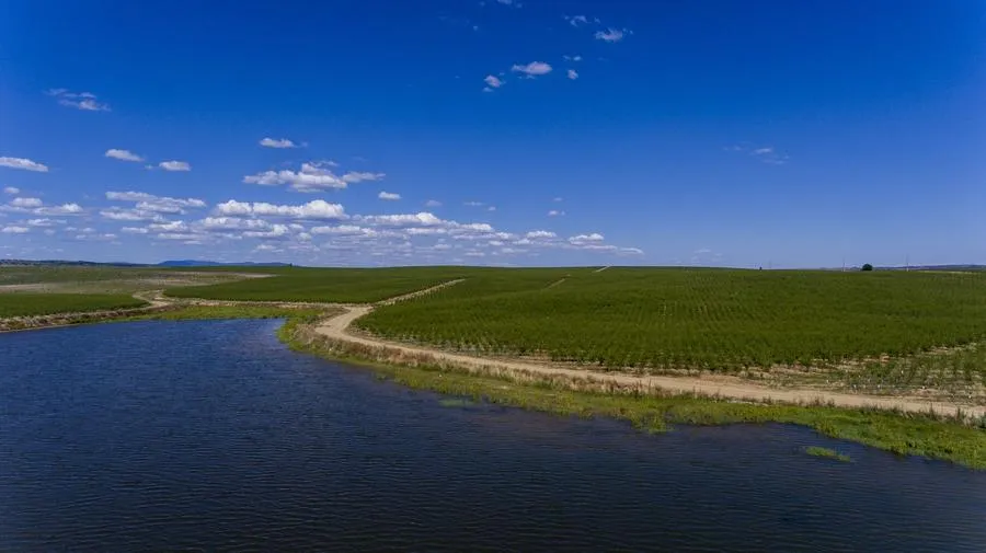 Barragem junto ao amendoal