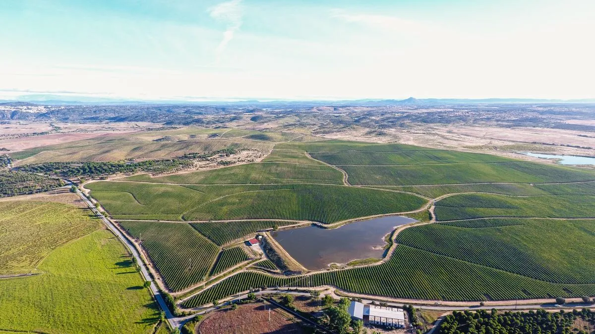 Herdade Vale Serrano